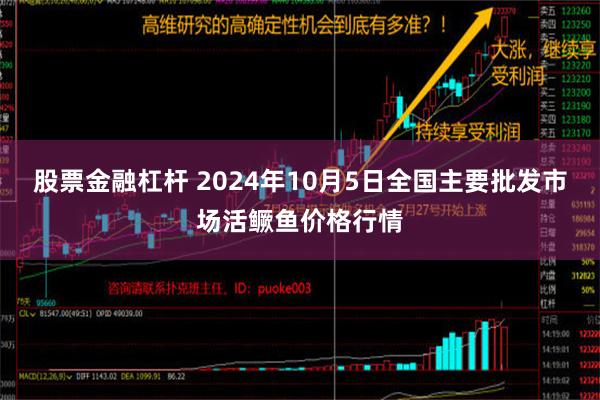 股票金融杠杆 2024年10月5日全国主要批发市场活鳜鱼价格行情