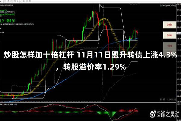 炒股怎样加十倍杠杆 11月11日盟升转债上涨4.3%，转股溢价率1.29%