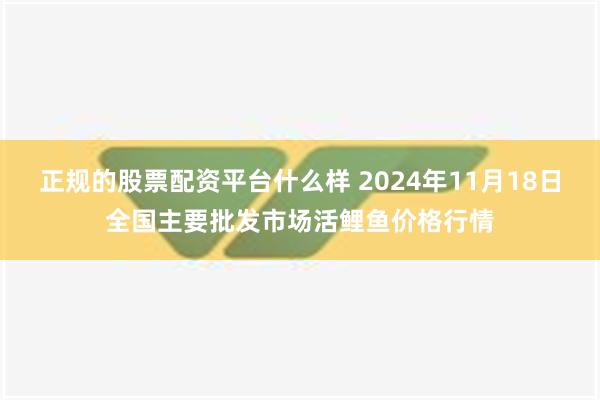 正规的股票配资平台什么样 2024年11月18日全国主要批发市场活鲤鱼价格行情