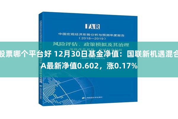 股票哪个平台好 12月30日基金净值：国联新机遇混合A最新净值0.602，涨0.17%