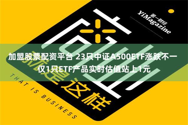 加盟股票配资平台 23只中证A500ETF涨跌不一 仅1只ETF产品实时估值站上1元