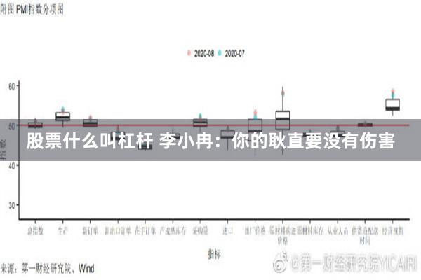 股票什么叫杠杆 李小冉：你的耿直要没有伤害